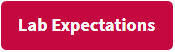 Lab expectations